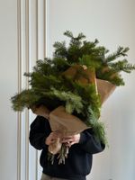 Хвоя - охапка пихты