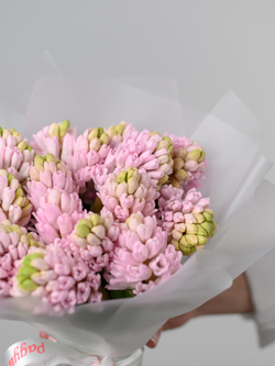 Монобукет из Гиацинтов