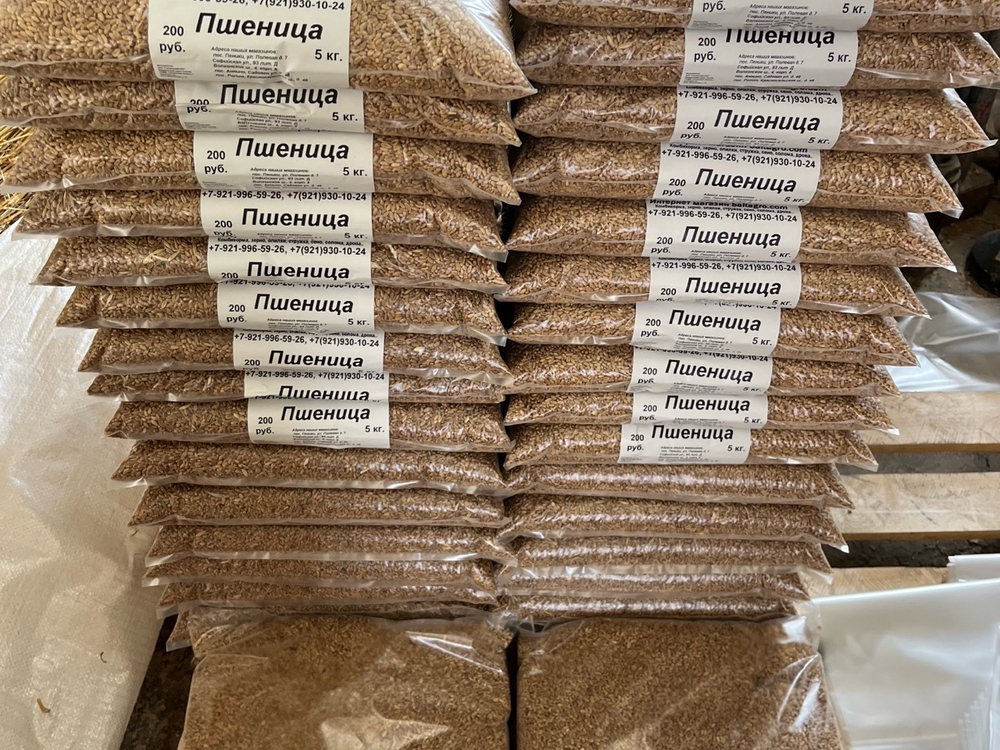 Пшеница 5 кг в Пос Ропша.