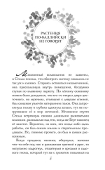 Звездный цветок