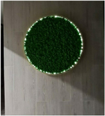 Круглое панно из стабилизированного мха с подсветкой в деревянной раме, диаметр 60см