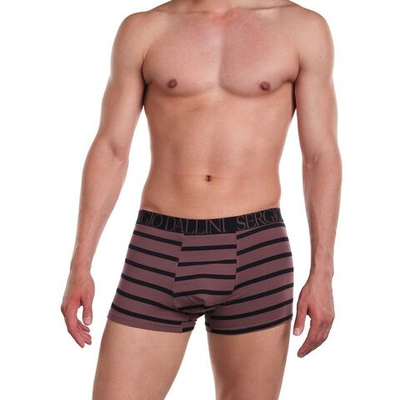 Мужские трусы-боксеры в широкую полосочку (Размер: XXL) (Цвет: коричневый)