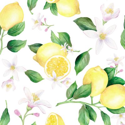 Лимоны с зелеными листьями и цветами на белом фоне