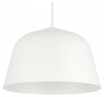 Подвесной светильник EVOLUCE Blank SLE1805-503-01