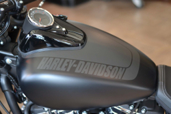 Softail® Fat Bob® (FXFB) Harley-Davidson®2020