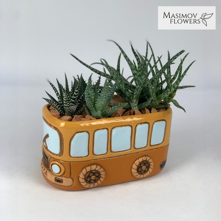 Композиция "Кактобус"