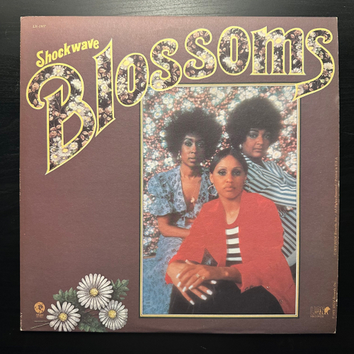 The Blossoms - Shockwave (США 1972г.)