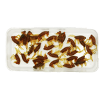 Рыболовные, силиконовые приманки. Рачки мормыш RuBaits Shrimp креветка. Набор для рыбалки на щуку, судака, окуня, форель. Зимняя рыбалка, микроджиг.