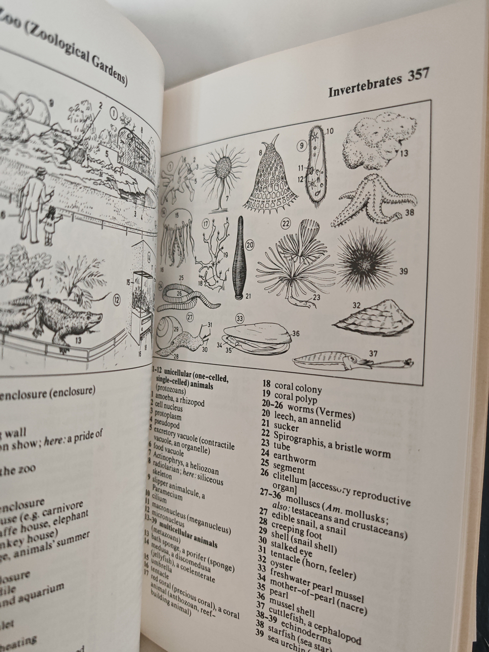 Картинный словарь современного английского языка. Оксфорд-Дуден