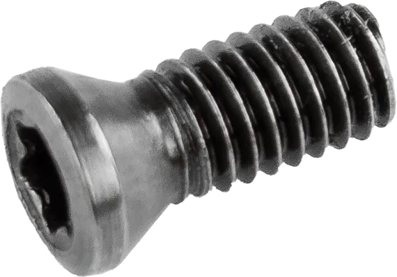 Крепежный винт Liden для режущих пластин к Beveler-250