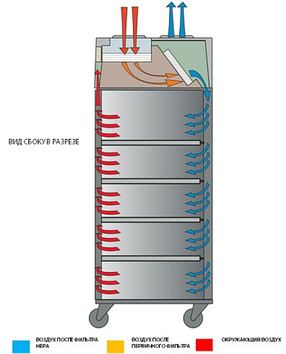 Вентилируемый шкаф BIO-C 36