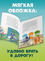 CLEVER-чтение. Приключения Шурочки и Мурочки (мягкая обложка)