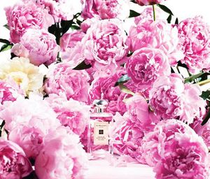 Jo Malone London Peony and Blush Suede