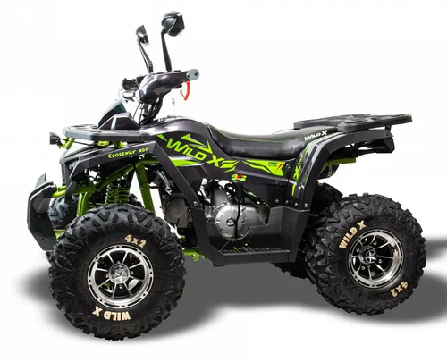 Квадроцикл MOTOLAND (МОТОЛЕНД) 125 WILD X PRO