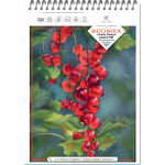 Блокнот-скетчбук Fine Line classic format Format Pastel A4 20 листов на металлическом гребне