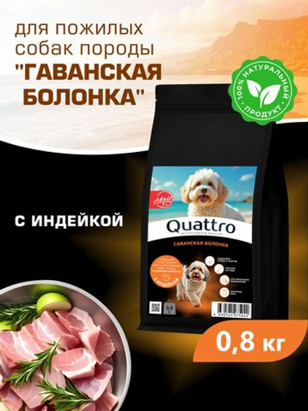 Корм сухой для пожилых собак породы Гаванская болонка старше 7 лет, с индейкой, 800 гр, QUATTRO