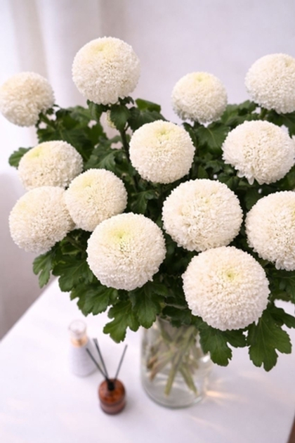 Букет из хризантемы "Pompon" 🤍