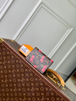 Louis Vuitton Passport Cover