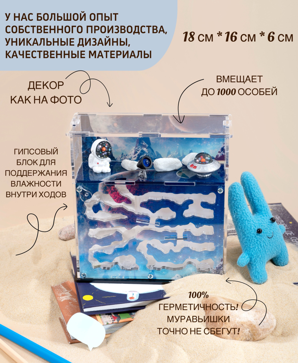 Муравьиная ферма с муравьями в подарок "Космос"