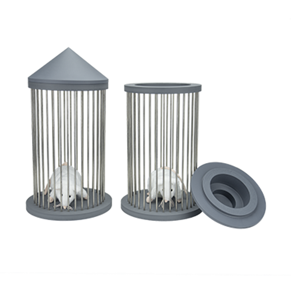 Аппарат для оценки социализации (3-камерный тест на социализацию)