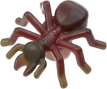 Муравей 62575pb01, Dark Red