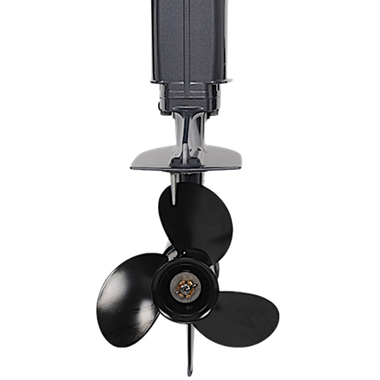 Лодочный мотор ALLFA CG T9.9(20)MAX BWS