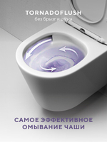 Подвесной унитаз Abelsberg Element TornadoFlush ELC70701WH, белый глянец