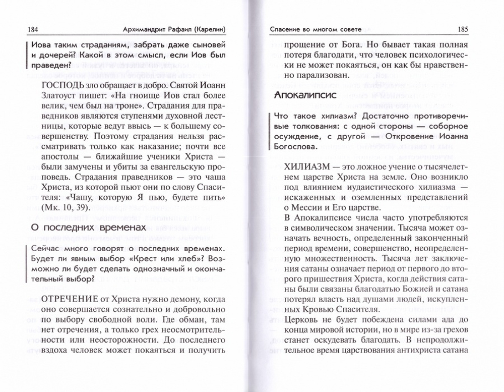 Спасение во многом совете. Вопросы и ответы. Архимандрит Рафаил (Карелин)