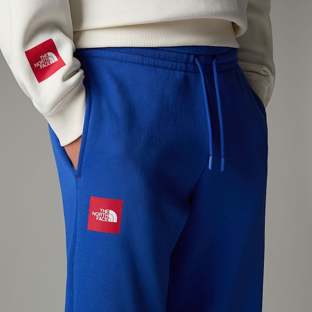 Брюки спортивные мужские THE NORTH FACE U AXYS JOGGER