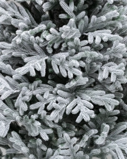 Искусственная елка Уссурийская заснеженная 120 см., 100% Литая хвоя, ЕлкиТорг (254120)