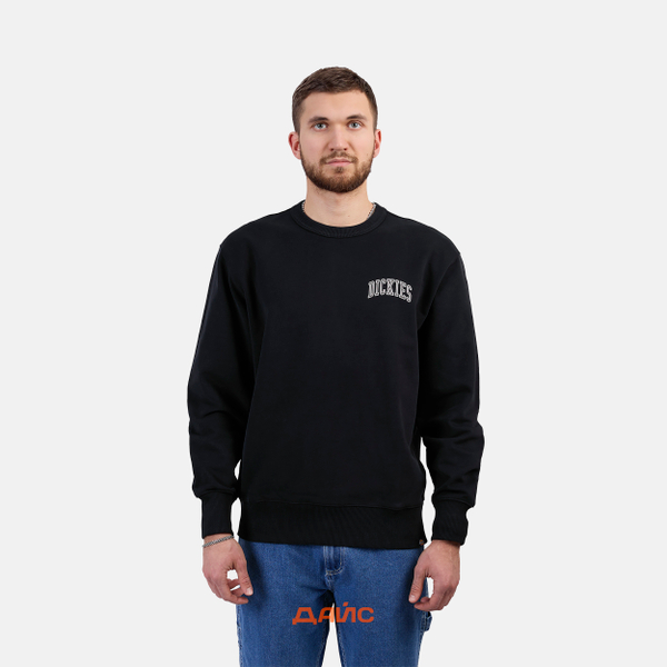 Толстовка мужская Dickies Aitkin Chest Sweatshirt артикул:DK0A4YBGJ941 - купить в магазине Дайс