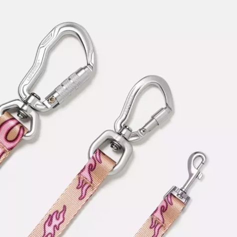 Чем отличаются карабины на поводках и как подобрать нужный для моей собаки?