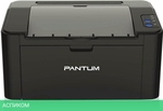 Принтер Pantum P2500