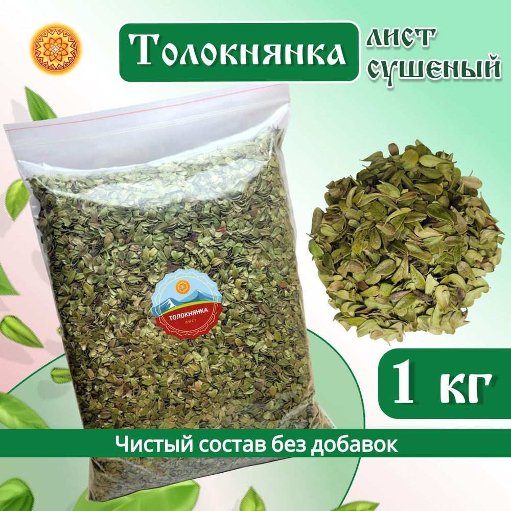 Лист толокнянки.
