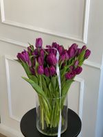 Тюльпаны классика - фиолетовый цвет
