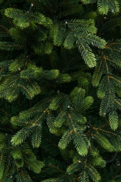 Искусственная елка Венецианская 210 см., 510 мульти/теплых белых Led ламп (2в1), Литая хвоя+ПВХ, ЕлкиТорг (175210)