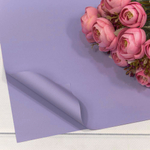 Пленка В листах 20 шт 60 х 60 см "Корейская" (Синий, Фиолетовый)