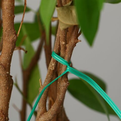 Зеленая подвязочная проволока длиной 10 см - 100 шт. (Цвет: зеленый)