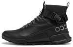 Ecco Biom2 1