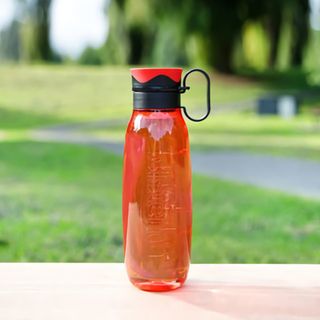 Бутылка для воды с петелькой Sistema &quot;Hydrate&quot;, Тритан, 650 мл, цвет Красный