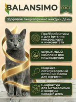Сухой корм для стерилизованных кошек и кастрированных котов холистик Balansimo Holistic Sterilized Adult Cat индейка с ягодами 2кг
