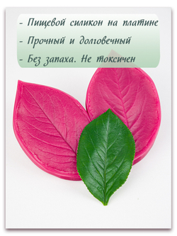 Лист аронии большой (черноплодная рябина)