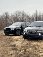Ангельские глазки BMW X 5 E 53 ( Белые) Дорест