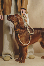 Поводок "Пони-Макарони" Рыжий (бежевый канат)