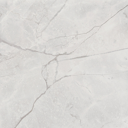 Connect Gris Керамогранит серый SG619922R 60х60 полированный