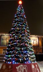 Уличная гирлянда "Цветной Каскад GT" 24В - для елок от 3 до 12 м