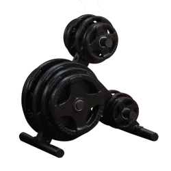 Подставка для олимпийских дисков профессиональная BODY SOLID OWT24