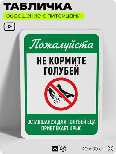 Табличка "Не кормите голубей" на дверь и забор, для двора, дома, подъезда, 40х30 см, Silver Plane x Айдентика Технолоджи