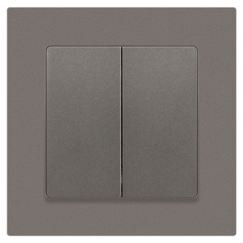 Переключатель Intro Accent 6-107-09 двойной, 10А-250В, IP20, СУ, AL/CU, титан | Intro