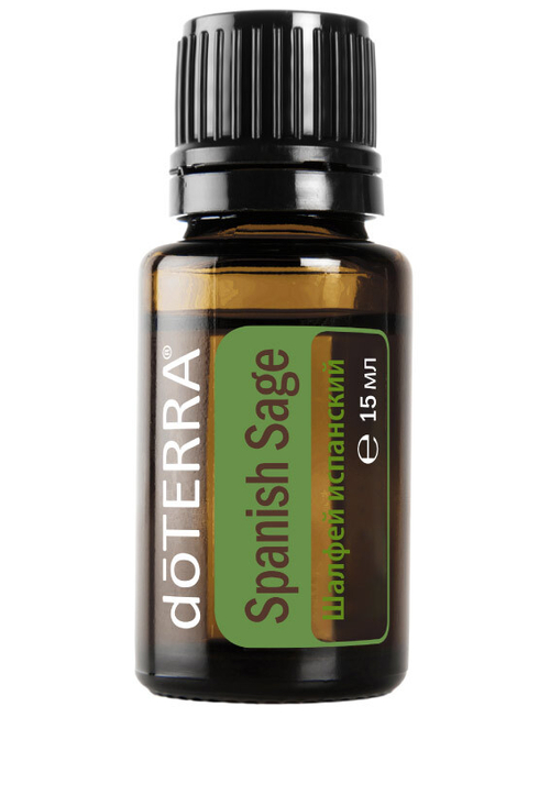 Испанский шалфей